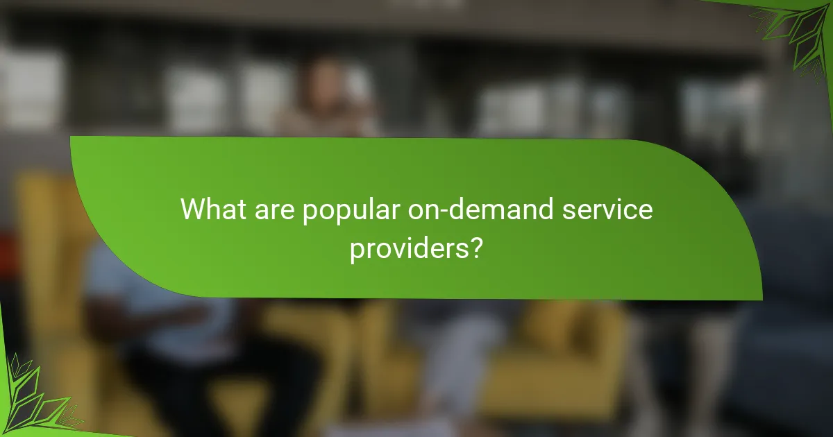 What are popular on-demand service providers?
