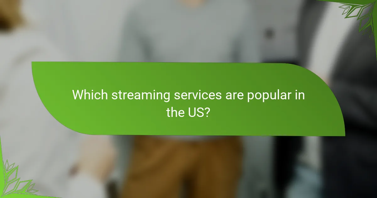 Which streaming services are popular in the US?